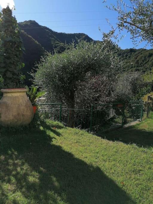 Villa Casa Andreina Salto Chiesa Exterior foto